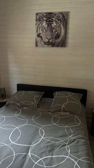 Magnifique Appartement T2 Le Barcares Exterior photo